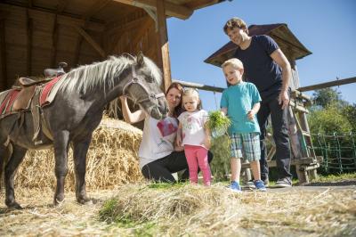 Ponyschnuppern